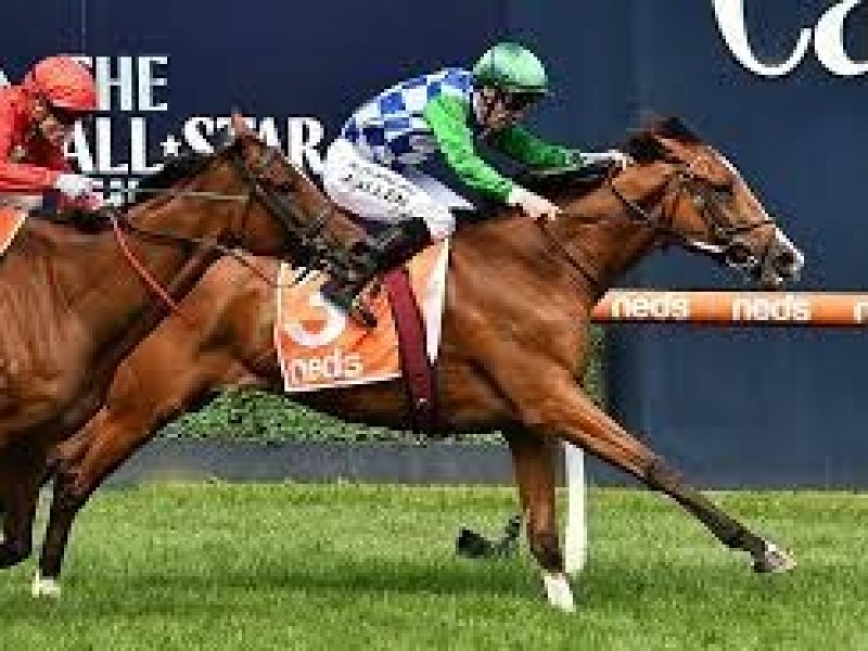 Realm Of Flowers Scores Melbourne Cup Berth Image 2